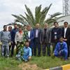 روز درختکاری در منطقه ویژه اقتصادی بوشهر