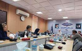 نشست هماهنگی مدیریت برق در منطقه ویژه بوشهر برگزار شد