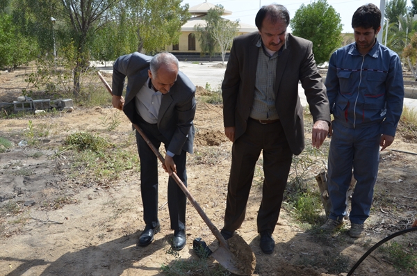 روز درختکاری در منطقه ویژه اقتصادی بوشهر گرامی داشته شد