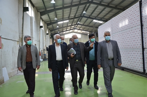 مشکلات شرکت‌های منطقه ویژه اقتصادی بوشهر بررسی شد