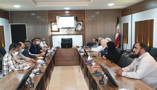 ظرفیت‌های سرمایه‌گذاری در حوزه صادرات دام استان بوشهر بررسی شد