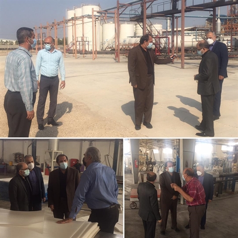 بازدید مدیرکل بازرسی استان از ۳ شرکت در منطقه ویژه بوشهر